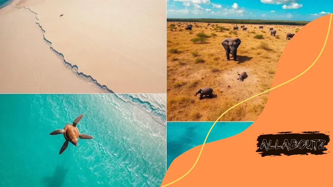 Case studies of successful drone missions
